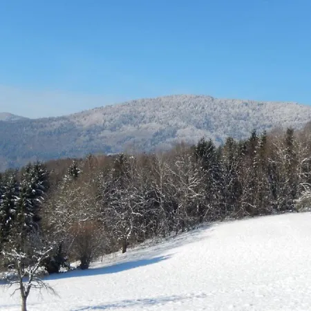 Hirtreiter Apartment *